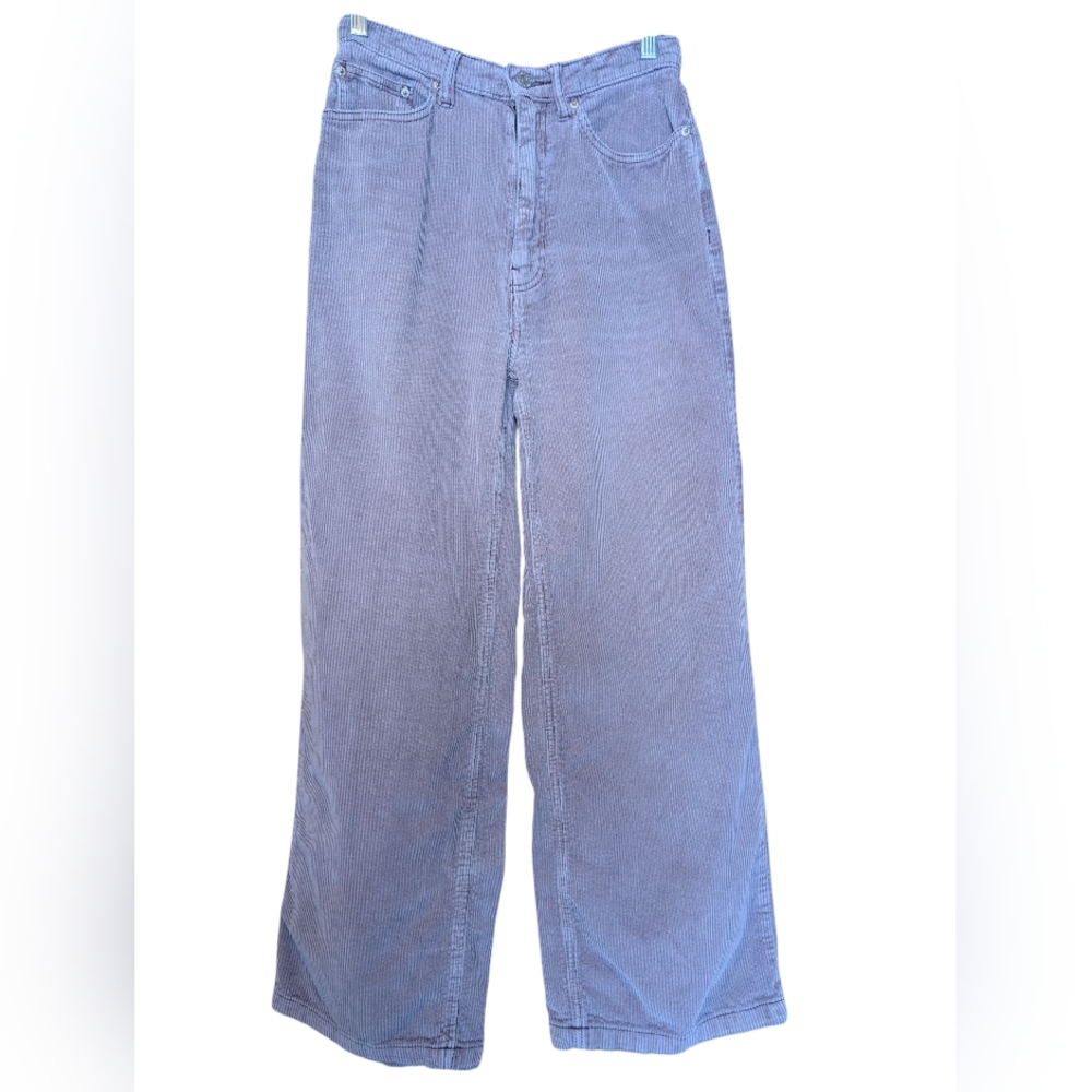 BDG Lavender Corduroy Pants